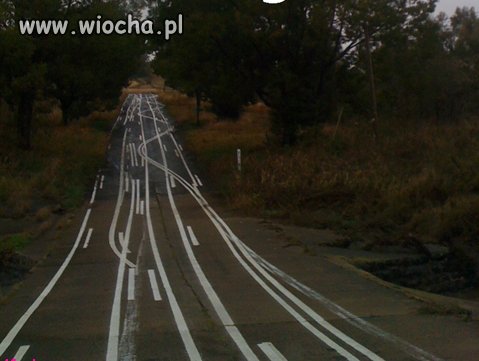 Wolicie dziurawe