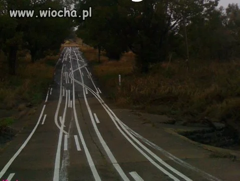 Wolicie dziurawe