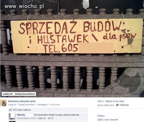 Ogłoszenie 