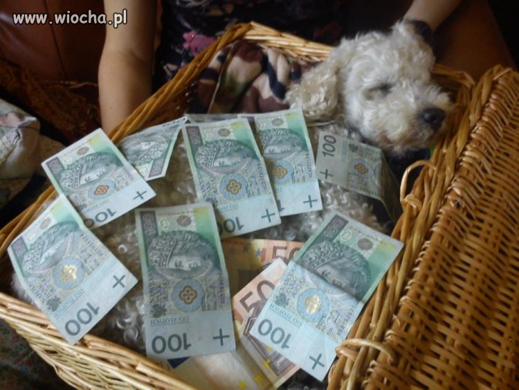 Tylko po co robić takie zdjęcia?