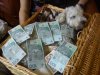 Tylko po co robić takie zdjęcia?