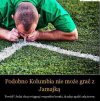 Roznieśli by całe boisko... 