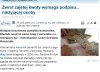 Absurdalne przepisy, takie rzeczy tylko w PL