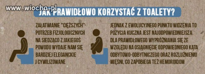 Jak korzystnie korzystać z toalety.