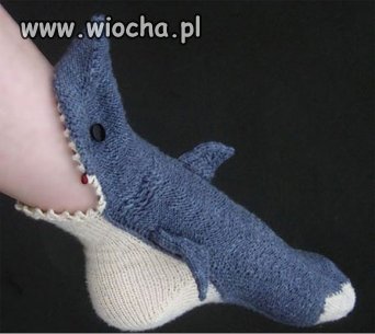 Shark oszzz