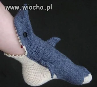 Shark oszzz