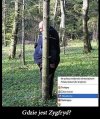 Gdzie jest Zygfryd?