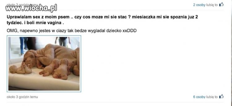 Czasem rozwala mnie ten ask