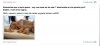 Czasem rozwala mnie ten ask