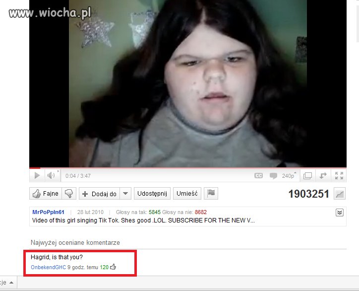 Hagrid ?