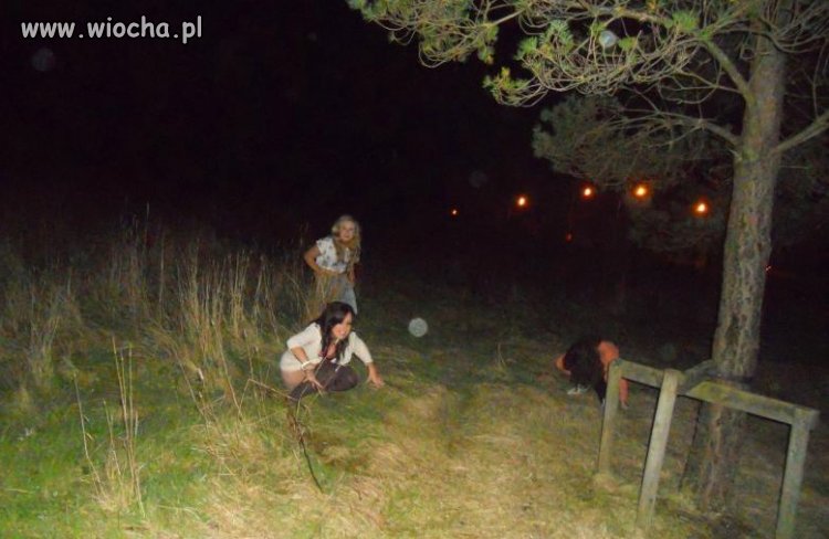 Podlewanie trawnika