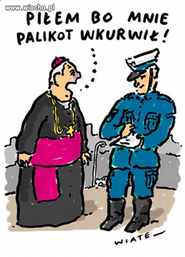Wszystko wina Palikota ...