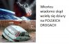 Wielkie odkrycie