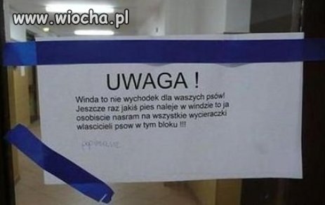 Krótko, zwięźle