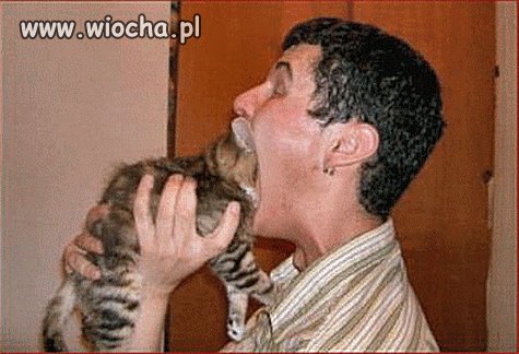 No nie wiem...