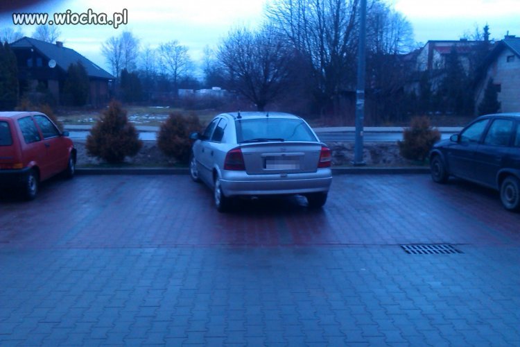 Kolejny mistrz parkowania