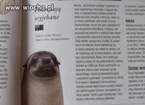 Bo uchatki