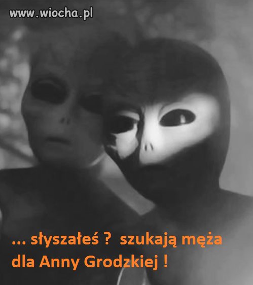   ... panna Grodzka szuka męża