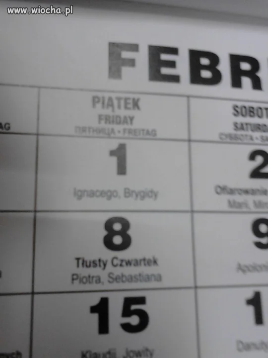 TŁUSTY CZWAREK 