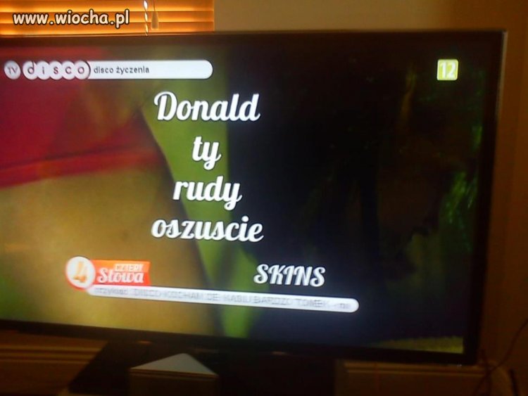 Wszystko i na temat
