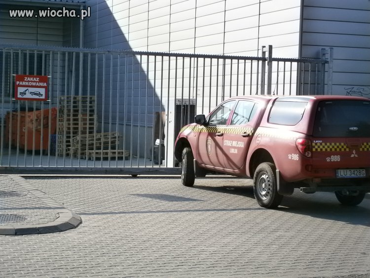 Jak widać nie wszystkich dotyczą zakazy parkowania