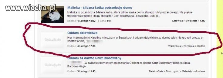 Szukałam kota, a tu proszę bardzo... 