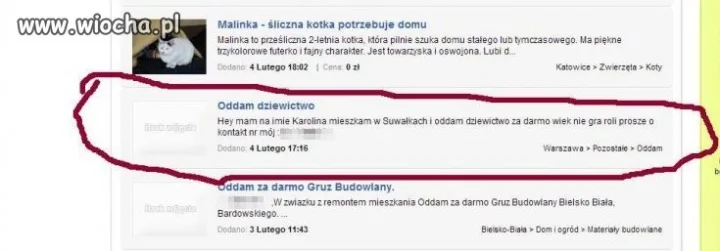 Szukałam kota, a tu proszę bardzo... 