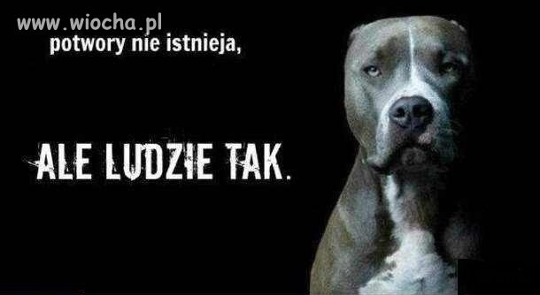 Kończąc absurdy o zwierzętach