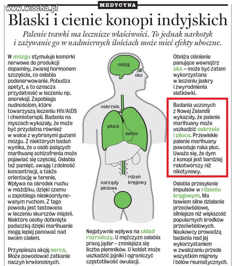 Marihuana bardziej rakotwórcza od nikotyny?  