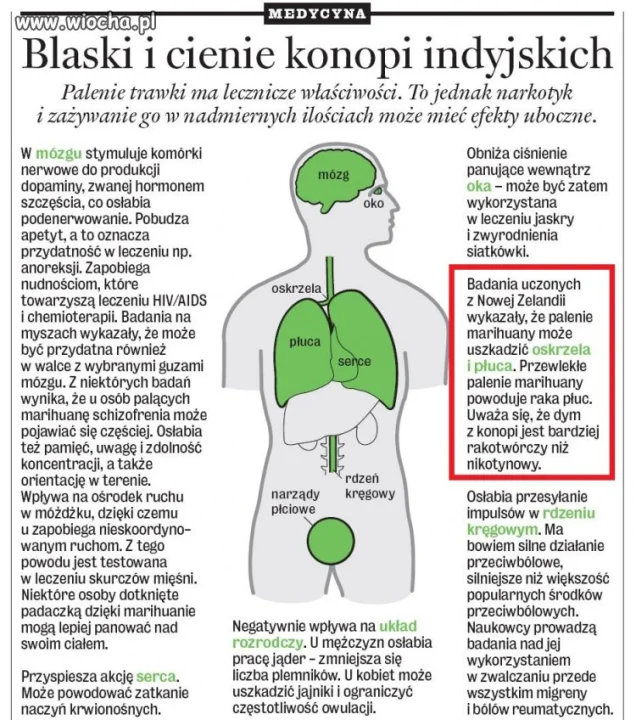 Marihuana bardziej rakotwórcza od nikotyny?  