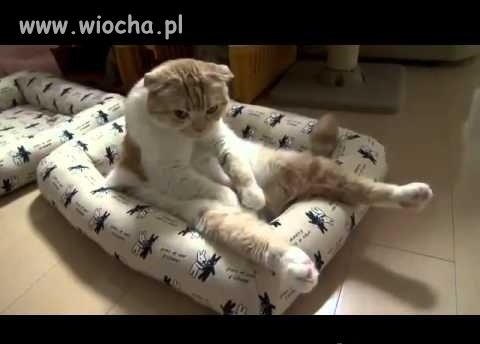 A w niedziele...