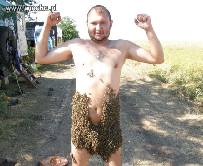Lubię bzykać jak pszczółka