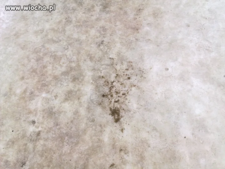 Posypana droga o 8 rano...