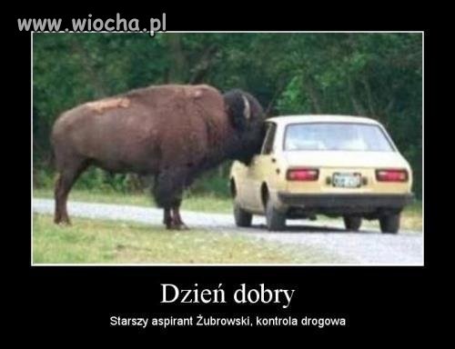 Starszy aspirant Żubrowski 