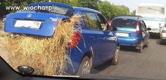 Czego ludzie nie zrobią ?? 