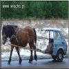 Dawno, dawno temu