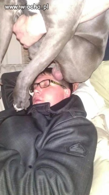 Dogoterapia