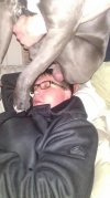 Dogoterapia