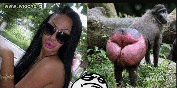 Z cylku...