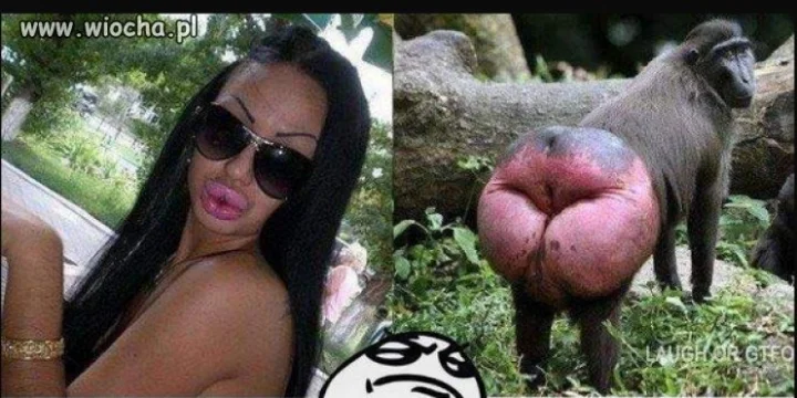 Z cylku...