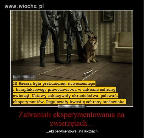 Czytając niektóre komentarze