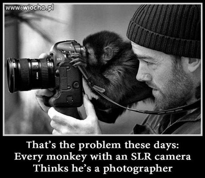 Zawód: fotograf
