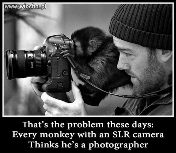 Zawód: fotograf