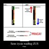 Tak nas robią w balona