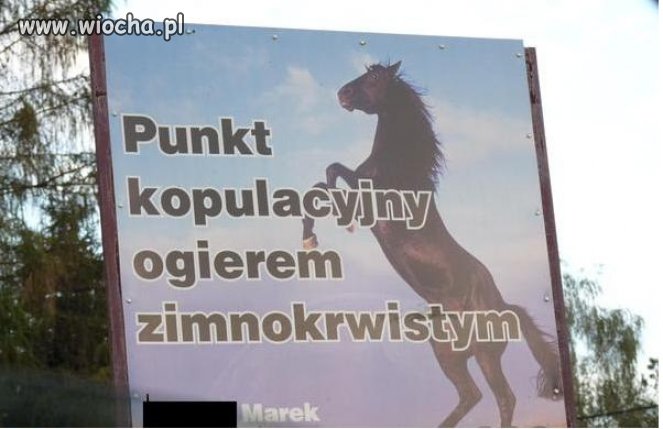 Reklama