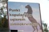 Reklama