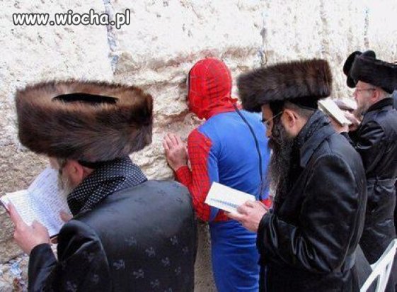 Spiderman jest wszędzie