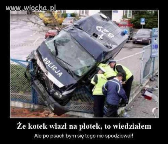 Kto im wręczy mandat?
