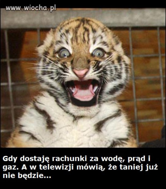 I tak to właśnie wygląda