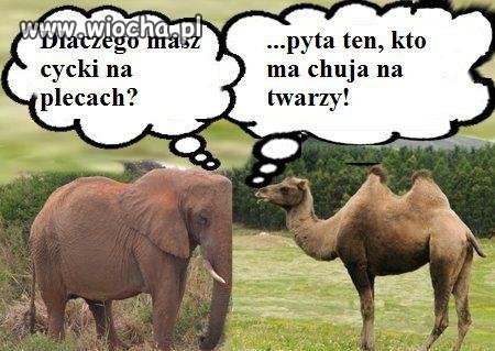 Hehee 
